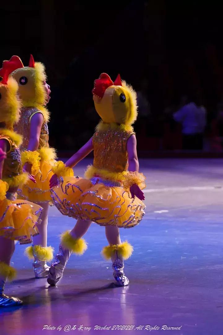 舞蹈表演建议,如何策划一场舞蹈培训班汇演