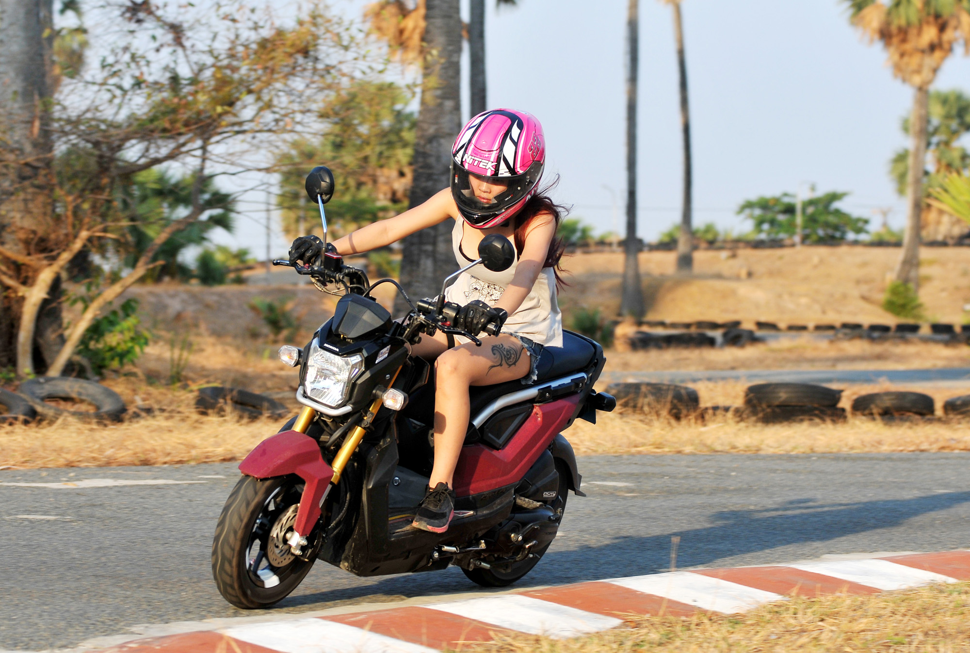 nitek璺戦瀷,nitek鏈敯