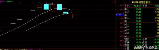 国芳集团张国芳,张国芳富豪榜