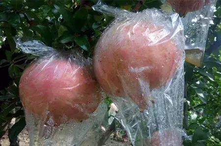 大农业今天行情,大农圈新闻