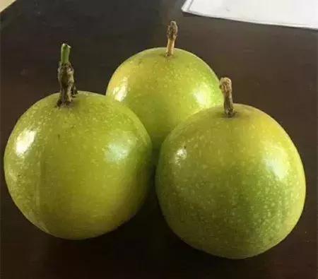 大农业今天行情,大农圈新闻