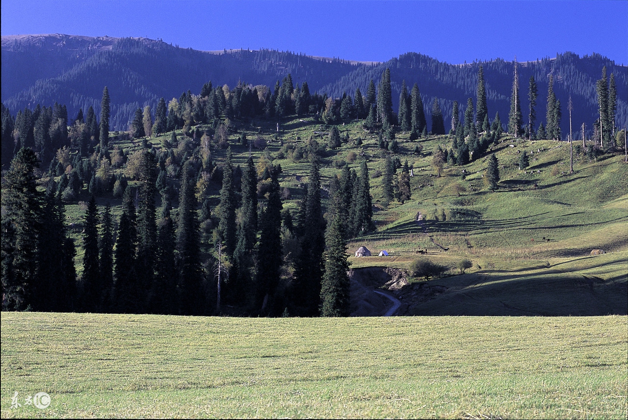 咄咄逼人的人怎么对付,怎么面对咄咄逼人不依不饶的人