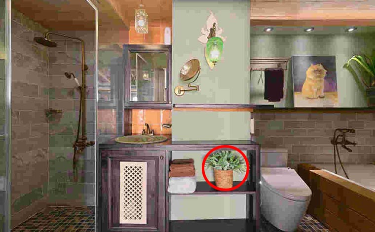 卫生间容易轻忽的水电位,卫生间马桶绝对不能轻忽的细节