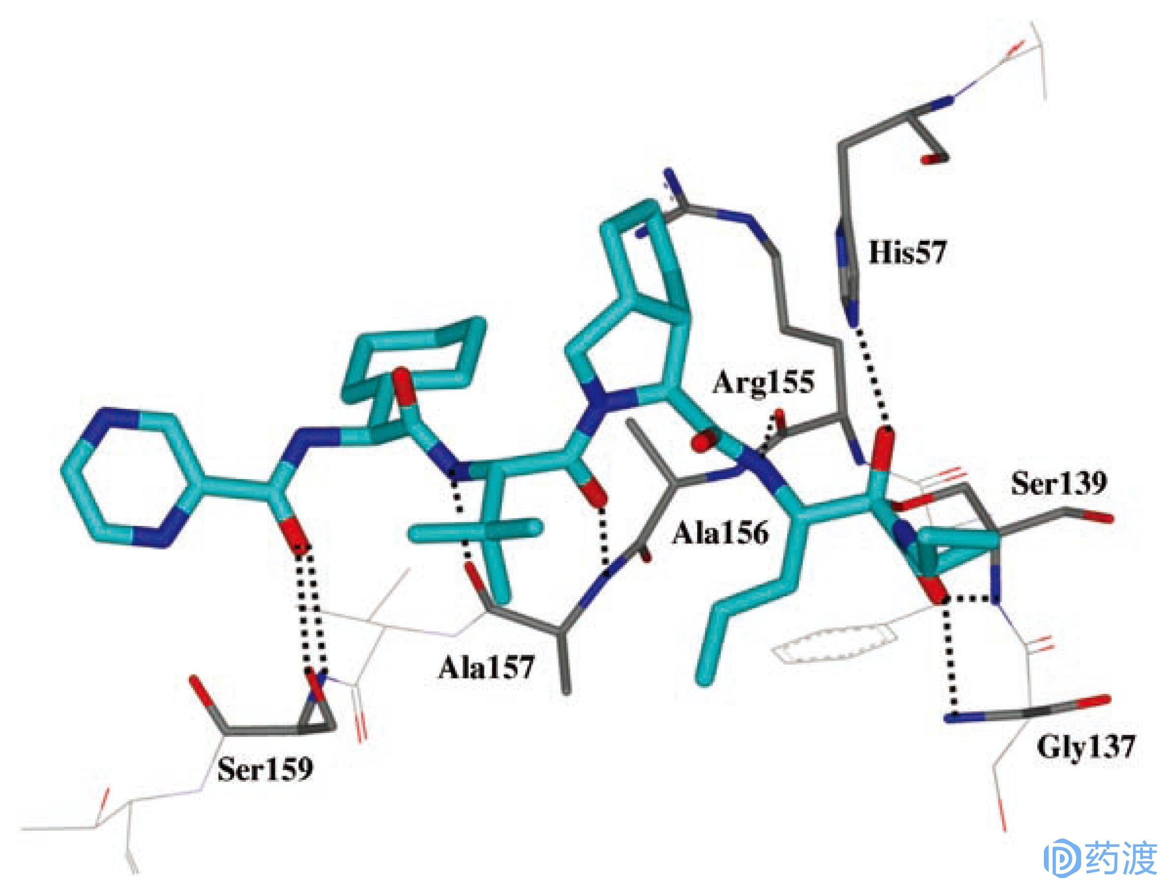 明星药物有哪些,明星药物
