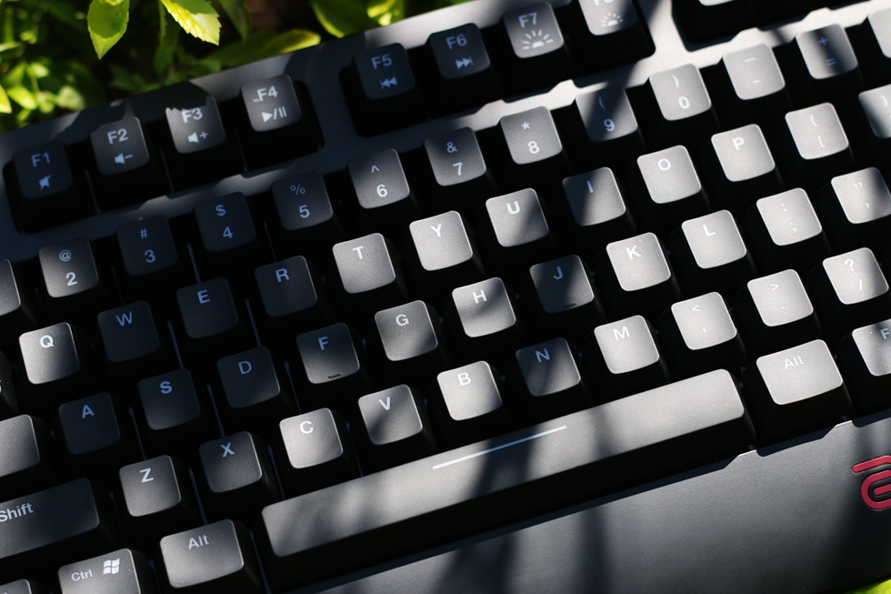 这个键盘头有些铁—ZOWIECELERITASII机械键盘