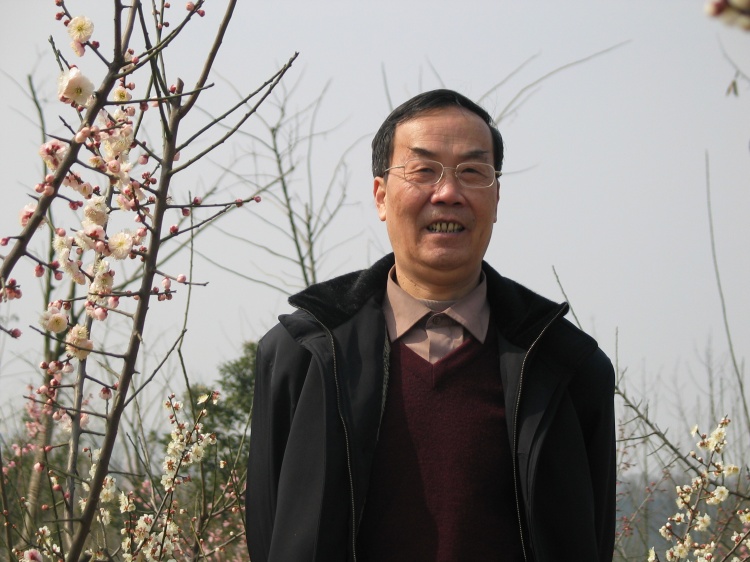 绘画构图初步教学反思,绘画构图初步教案优质课