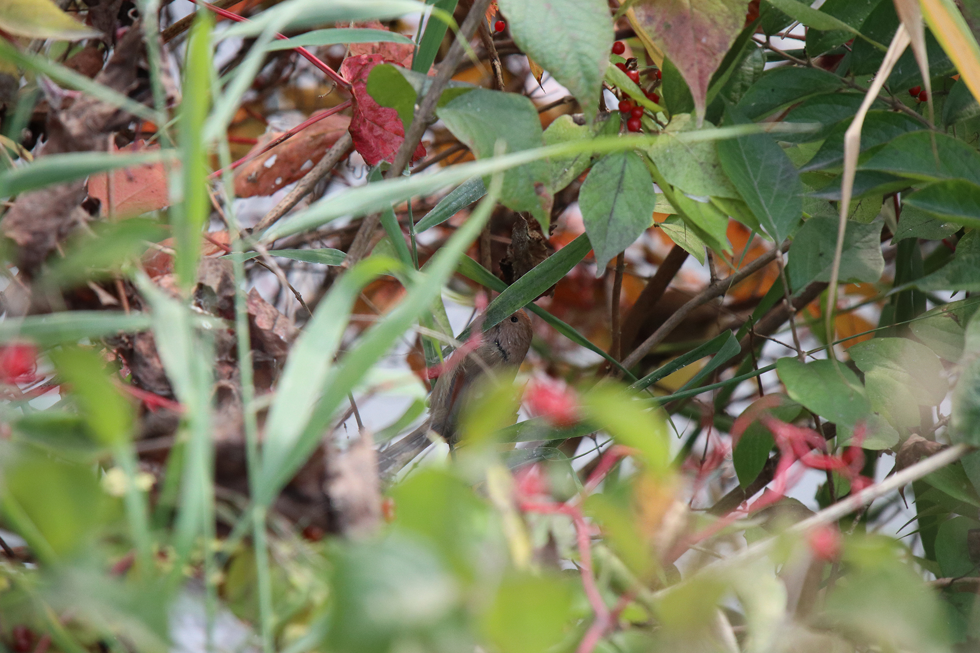 佳能eosm6二代拍照指南,佳能m6二代拍摄作品欣赏