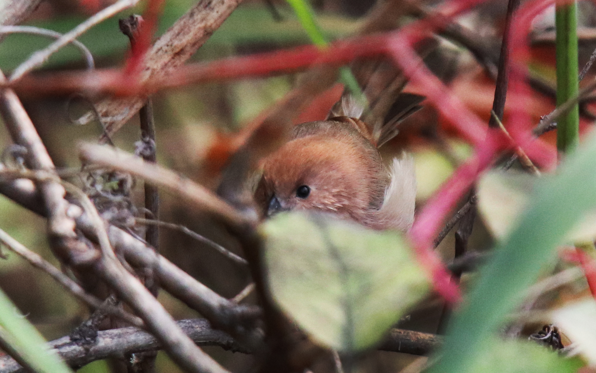 佳能eosm6二代拍照指南,佳能m6二代拍摄作品欣赏