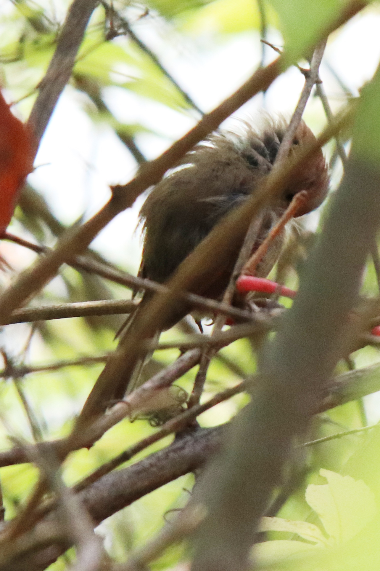 佳能eosm6二代拍照指南,佳能m6二代拍摄作品欣赏