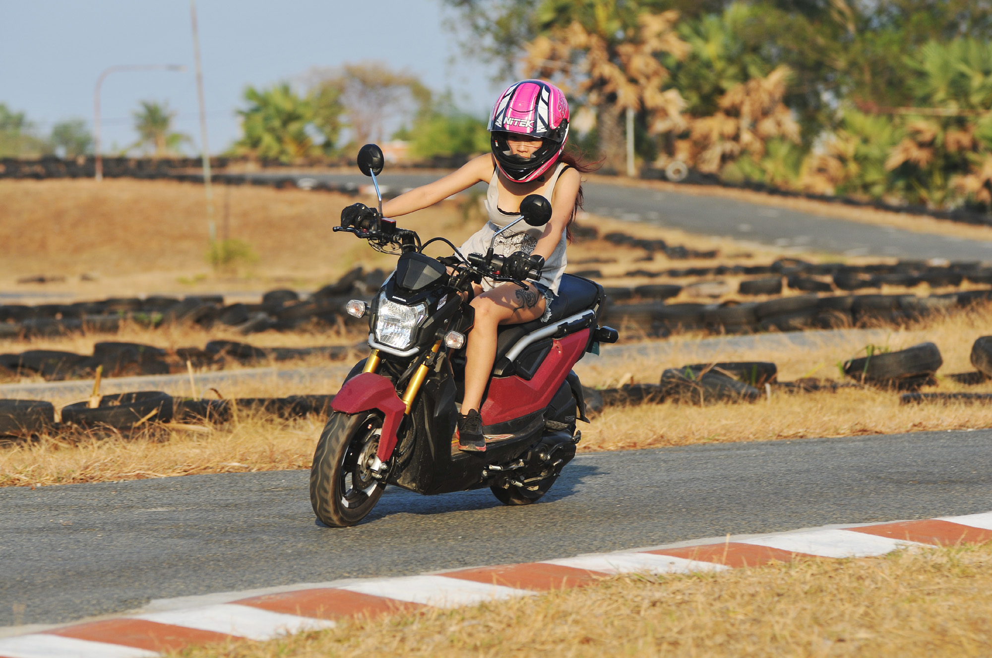 nitek璺戦瀷,nitek鏈敯