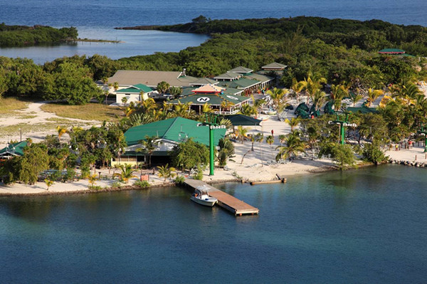 因足球而打仗的两个国家,哪两个国家因为足球而打仗