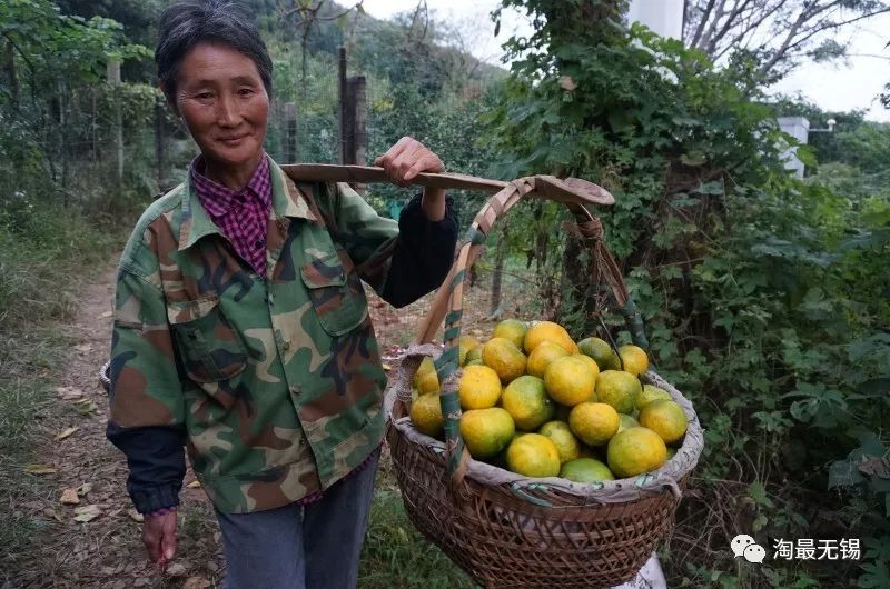 无锡哪里羊肉汤最正宗,无锡比较好的羊肉汤店