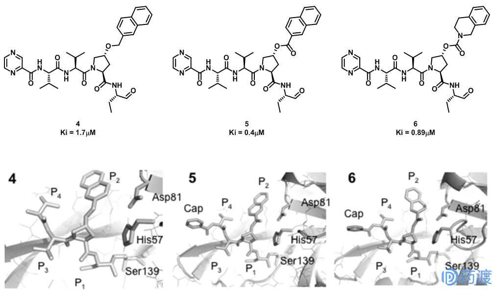 明星药物有哪些,明星药物
