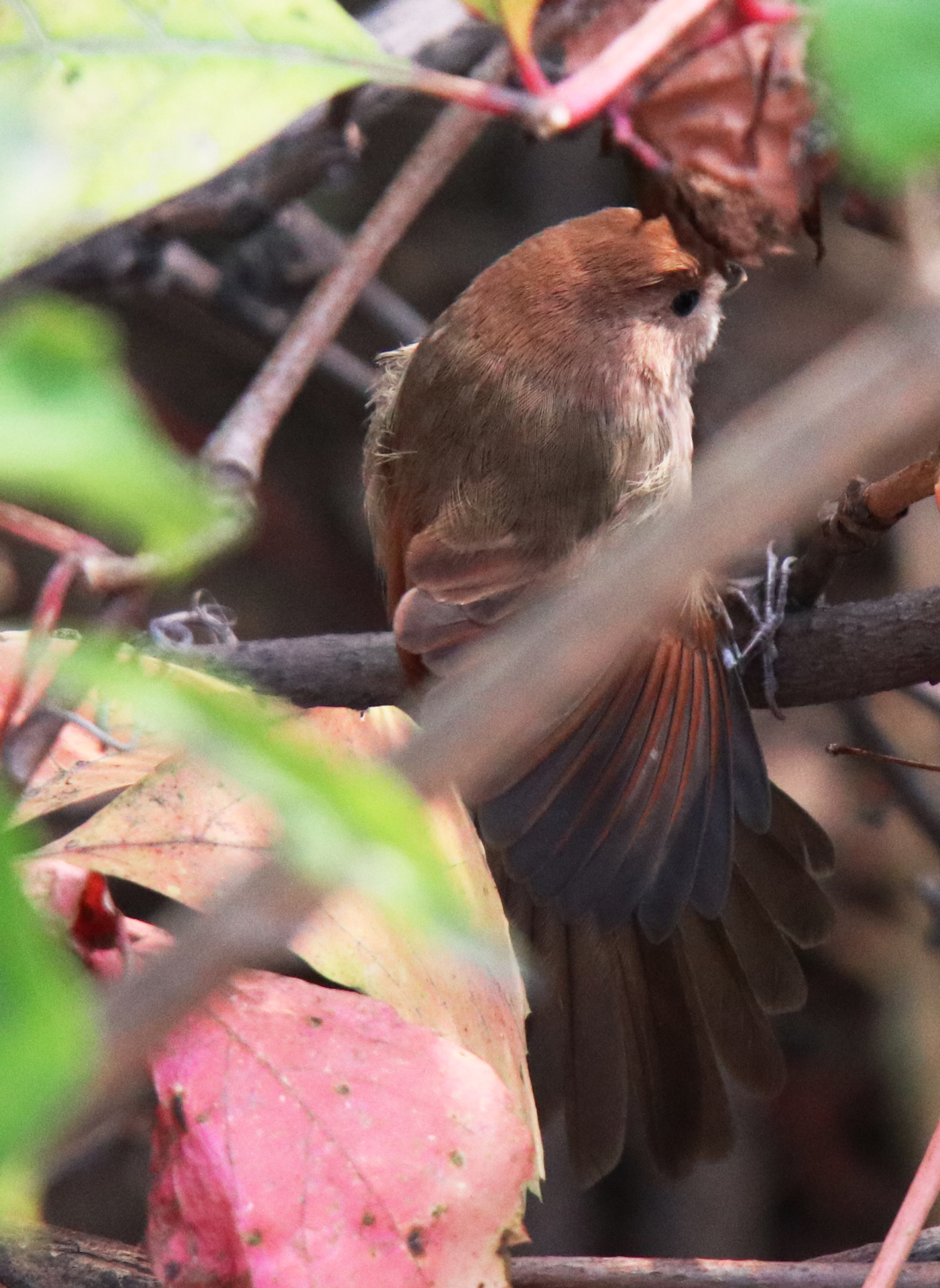 佳能eosm6二代拍照指南,佳能m6二代拍摄作品欣赏