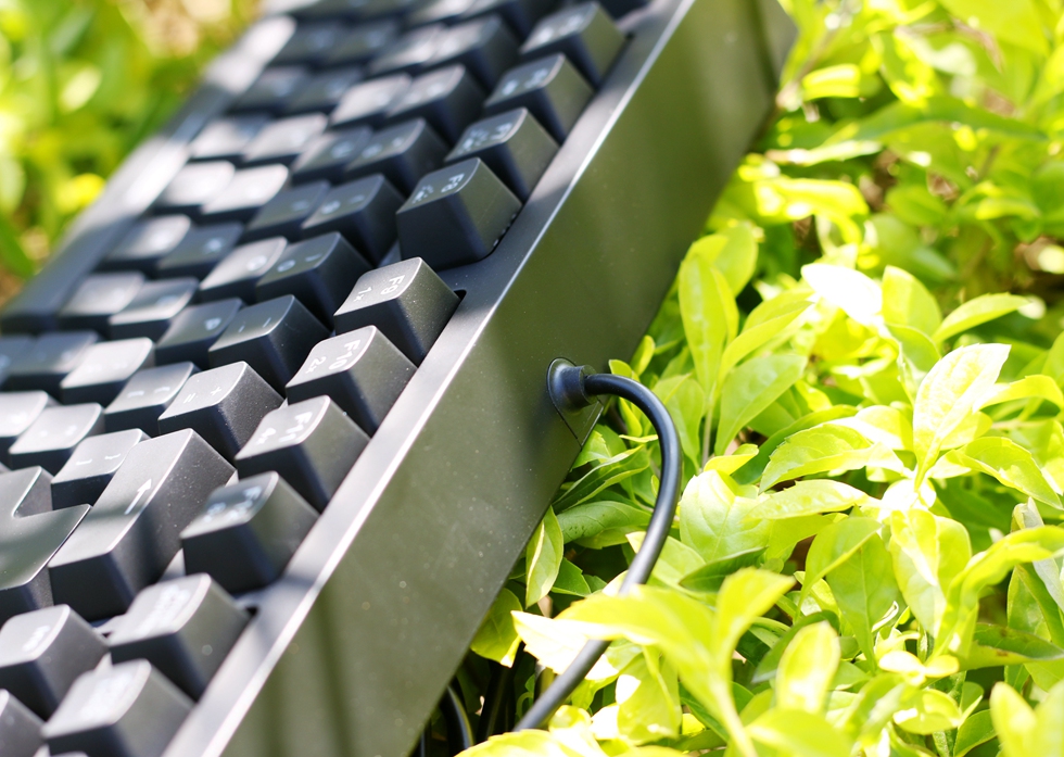 这个键盘头有些铁—ZOWIECELERITASII机械键盘