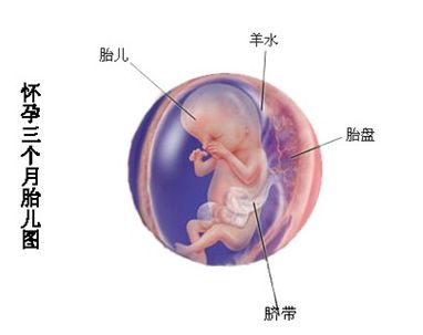 关系到宝妈和宝宝的健康，孕妇用药一定要关注这些