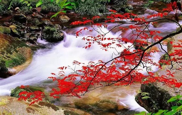 11月国内最值得去的景点,推荐七月国内最佳旅行目的地