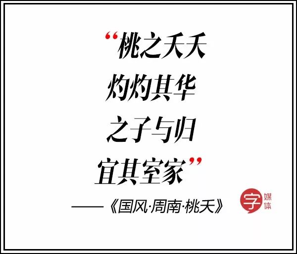 双宋cp结了婚,双宋cp结婚现场曝光