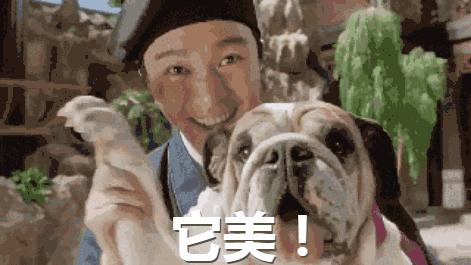 双宋cp结了婚,双宋cp结婚现场曝光