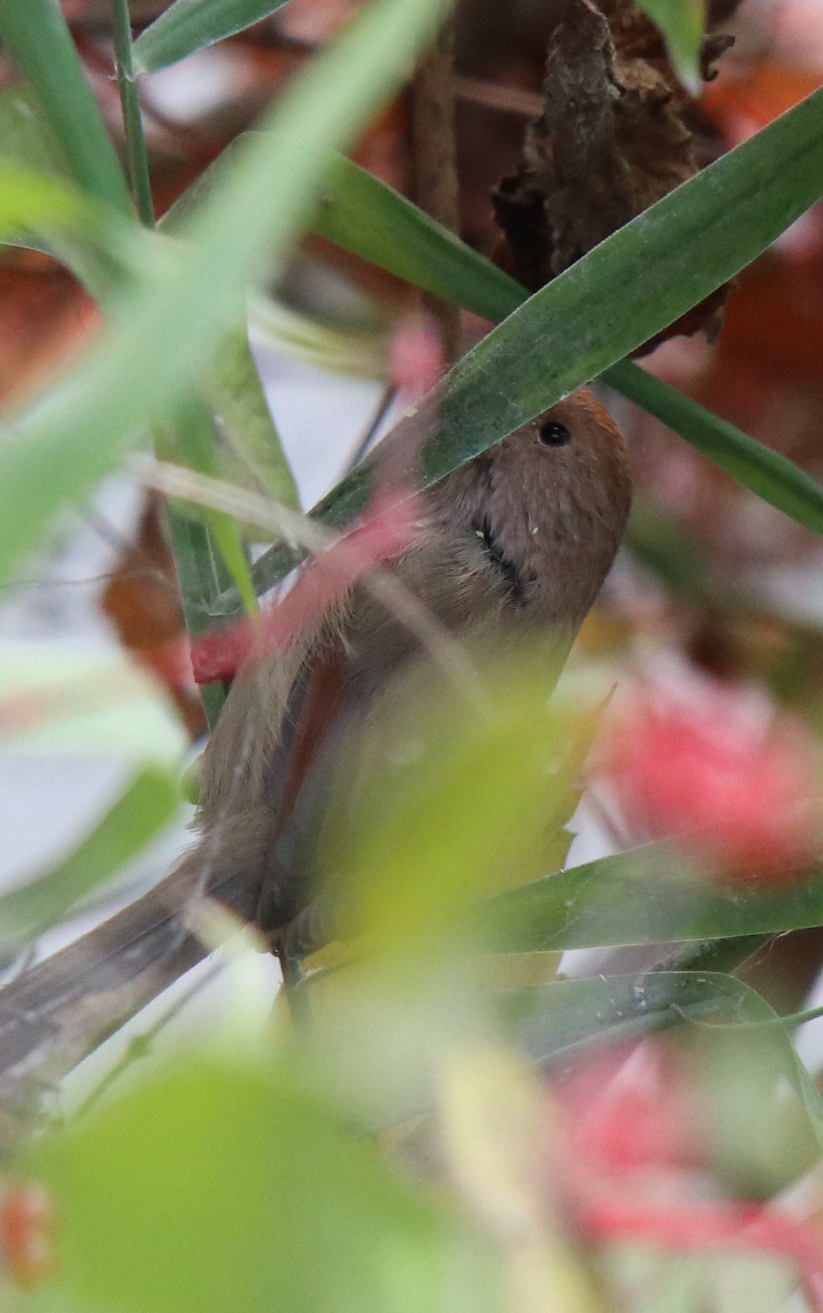 佳能eosm6二代拍照指南,佳能m6二代拍摄作品欣赏