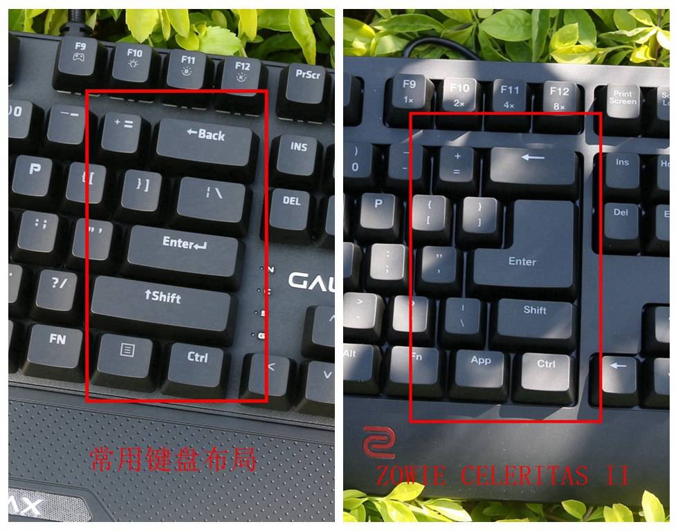 这个键盘头有些铁—ZOWIECELERITASII机械键盘