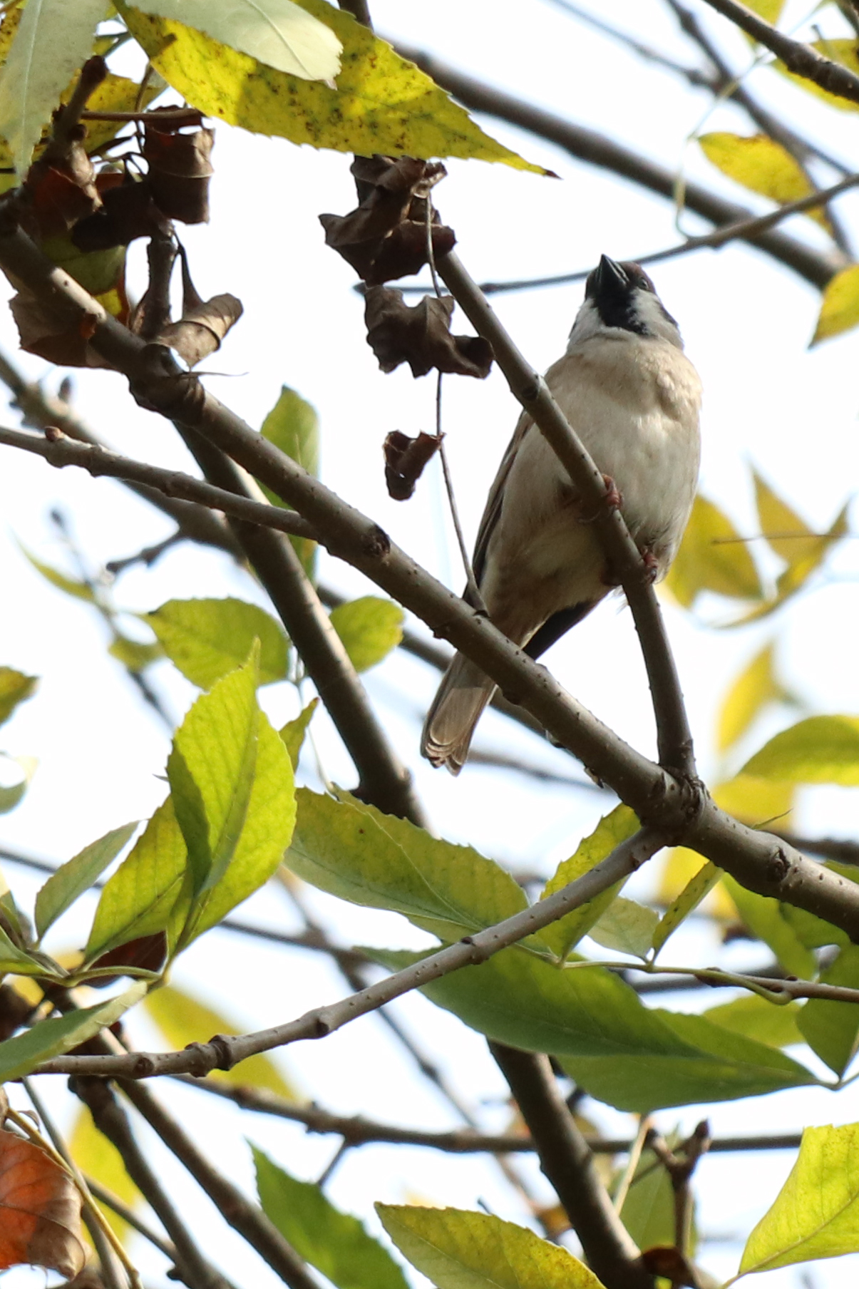 佳能eosm6二代拍照指南,佳能m6二代拍摄作品欣赏