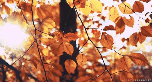 11月国内最值得去的景点,推荐七月国内最佳旅行目的地