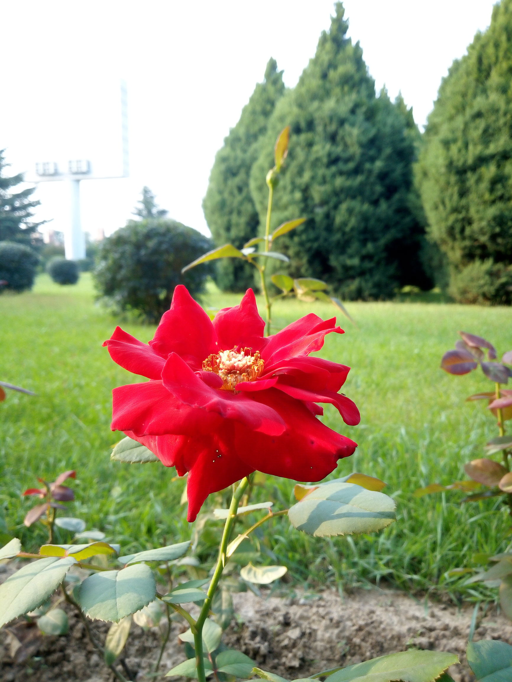 国美gomek1手机评测,gome国美手机测评