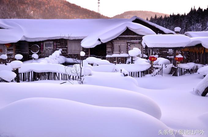 哈尔滨雾凇岛一日游,哈尔滨雪乡雾凇岛攻略