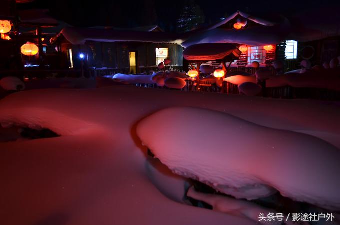 哈尔滨雾凇岛一日游,哈尔滨雪乡雾凇岛攻略