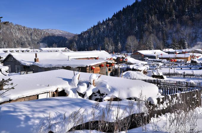 哈尔滨雾凇岛一日游,哈尔滨雪乡雾凇岛攻略