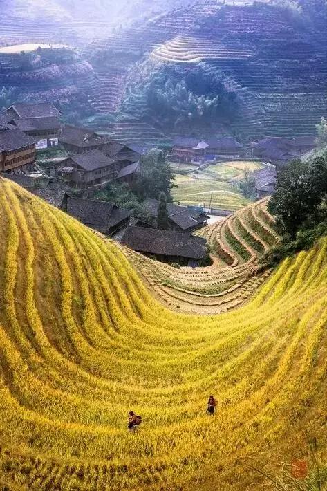 11月国内最值得去的景点,推荐七月国内最佳旅行目的地