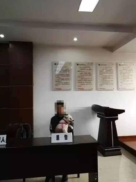 双11剁手开箱,双11剁手之前看看你的购物车