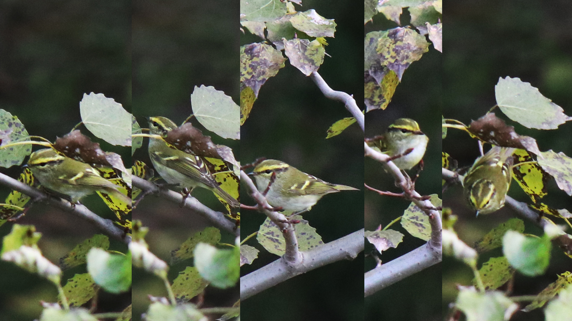 佳能eosm6二代拍照指南,佳能m6二代拍摄作品欣赏