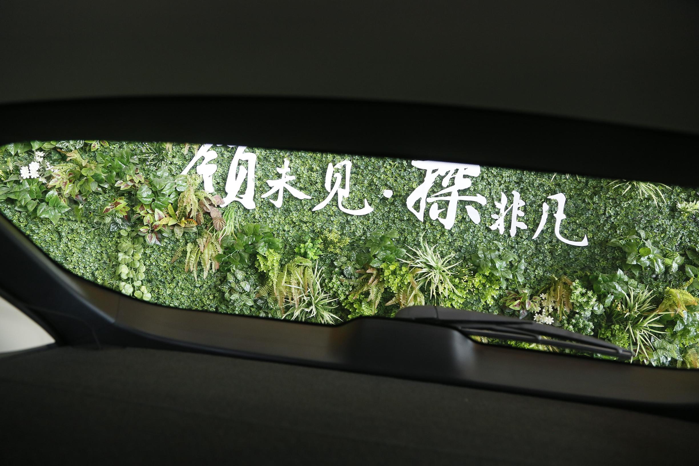 8万左右的雷克萨斯nx300,10多万的雷克萨斯nx300h