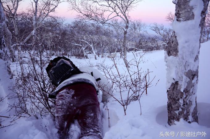 哈尔滨雾凇岛一日游,哈尔滨雪乡雾凇岛攻略