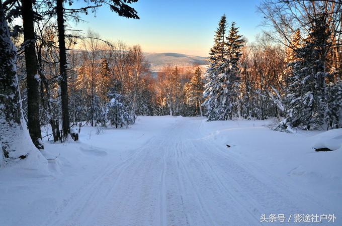 哈尔滨雾凇岛一日游,哈尔滨雪乡雾凇岛攻略
