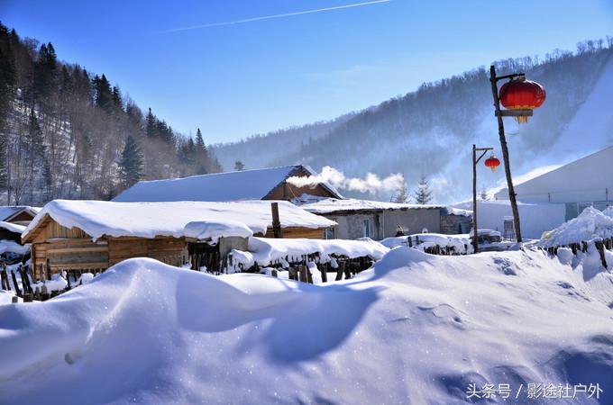 哈尔滨雾凇岛一日游,哈尔滨雪乡雾凇岛攻略