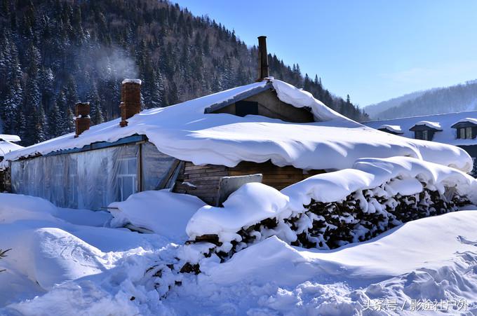 哈尔滨雾凇岛一日游,哈尔滨雪乡雾凇岛攻略
