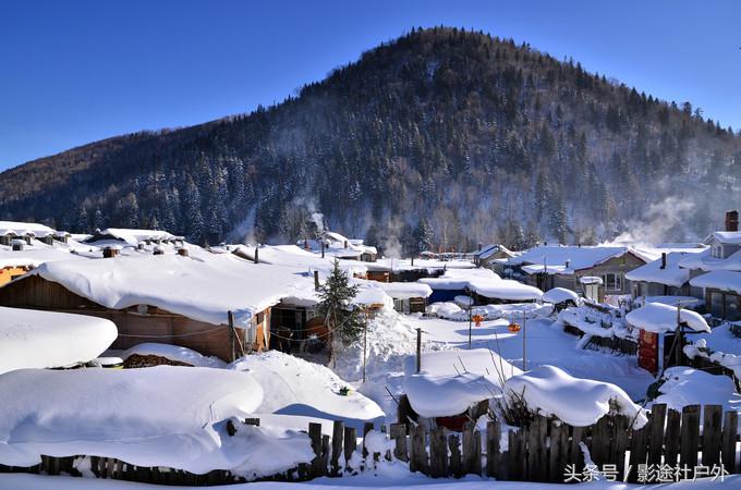 哈尔滨雾凇岛一日游,哈尔滨雪乡雾凇岛攻略