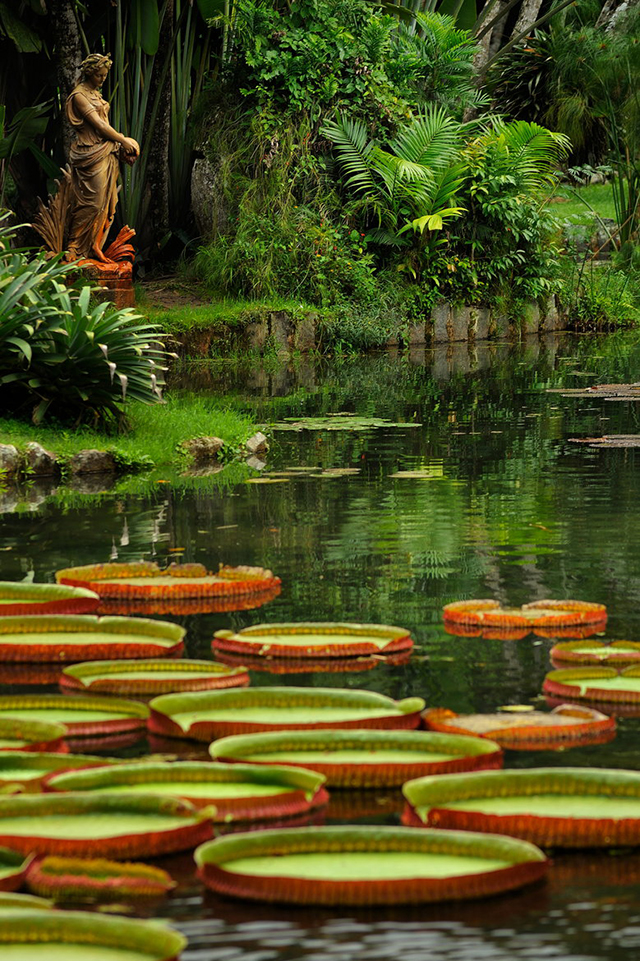 巴西有哪些魅力,巴西好玩吗