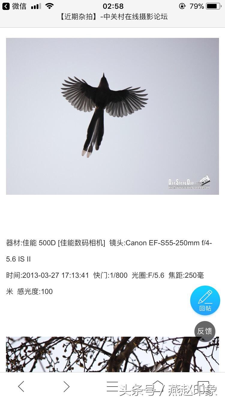 爱上摄影,爱上摄影教程