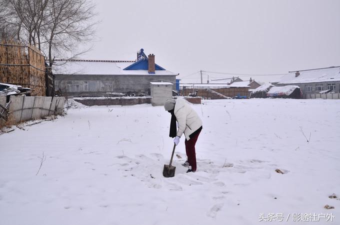 哈尔滨雾凇岛一日游,哈尔滨雪乡雾凇岛攻略