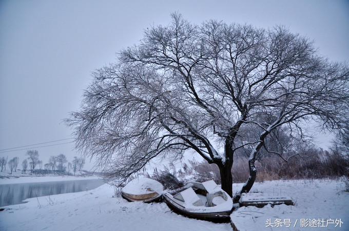 哈尔滨雾凇岛一日游,哈尔滨雪乡雾凇岛攻略