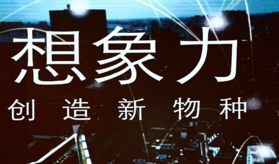 爆品到底是赚钱还是不赚钱,爆品骗局