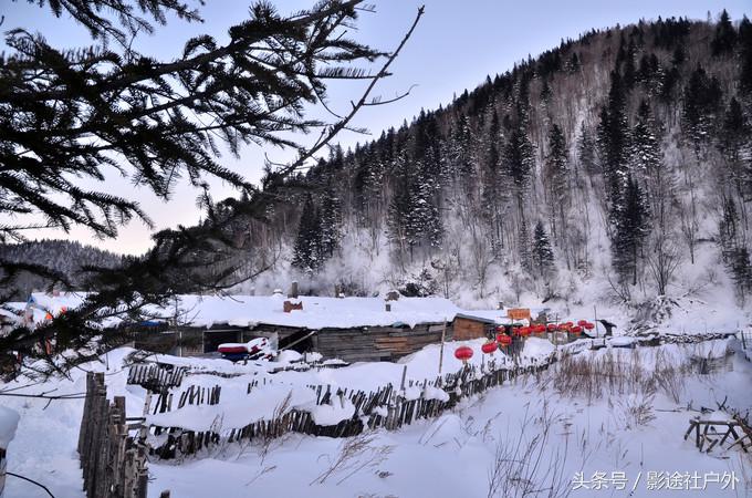 哈尔滨雾凇岛一日游,哈尔滨雪乡雾凇岛攻略