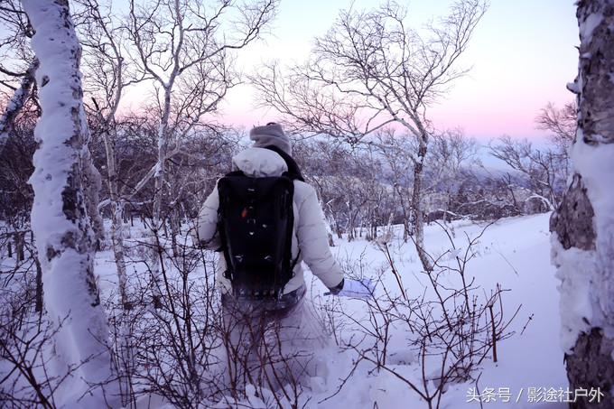 哈尔滨雾凇岛一日游,哈尔滨雪乡雾凇岛攻略