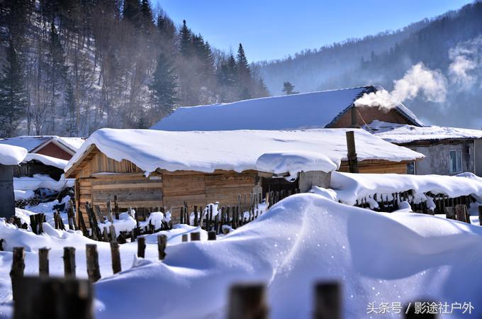 哈尔滨雾凇岛一日游,哈尔滨雪乡雾凇岛攻略