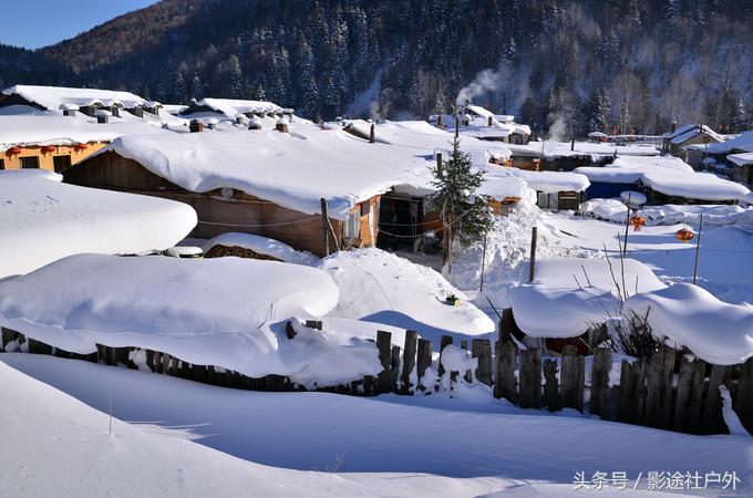 哈尔滨雾凇岛一日游,哈尔滨雪乡雾凇岛攻略