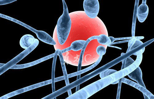 受孕卵着床的期间有哪些症状,备孕期着床有什么症状